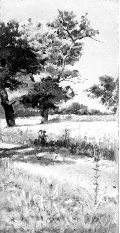 Paesaggio rurale - Bari